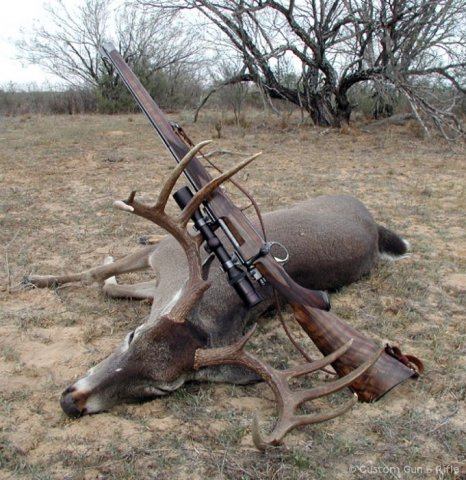 img_1246283996_512_lg