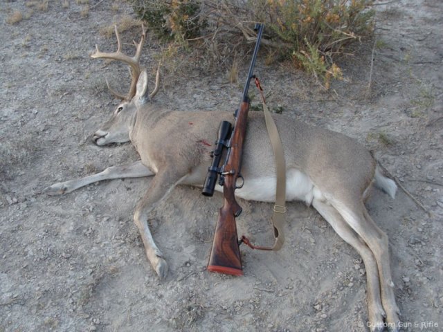 img_1246284280_684_lg