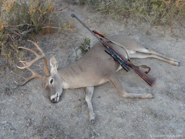 img_1246284305_907_lg