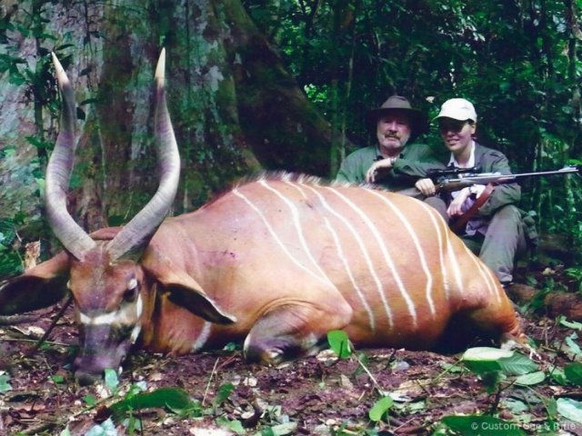 img_1247596532_202_lg