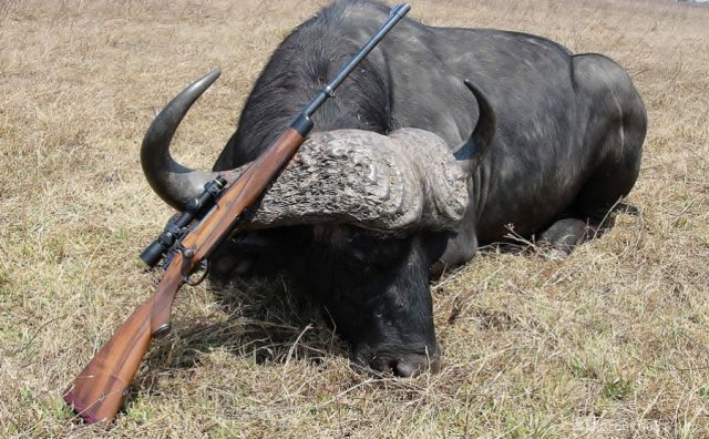 img_1299197871_636_lg