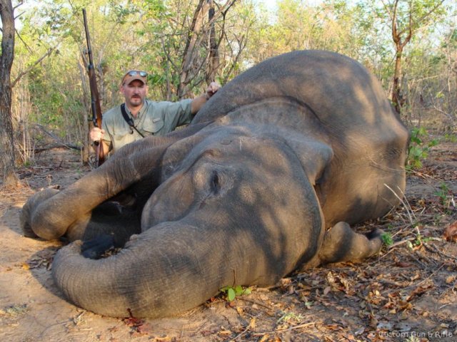 img_1328289252_862_lg